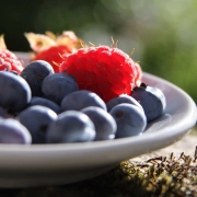 fruit on plate