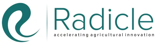 Radicle Logo