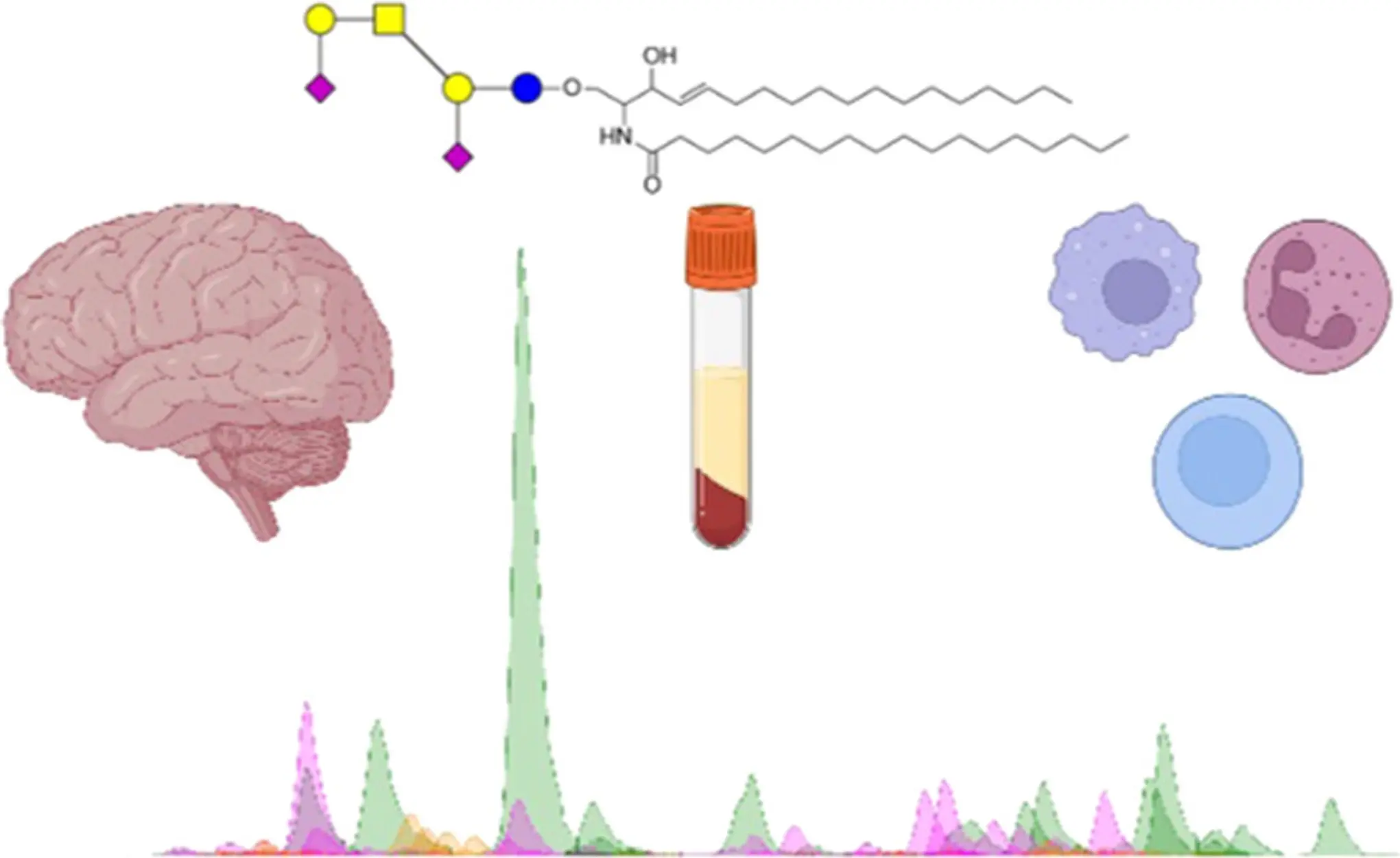 Chart showing the brain and impact of different substances