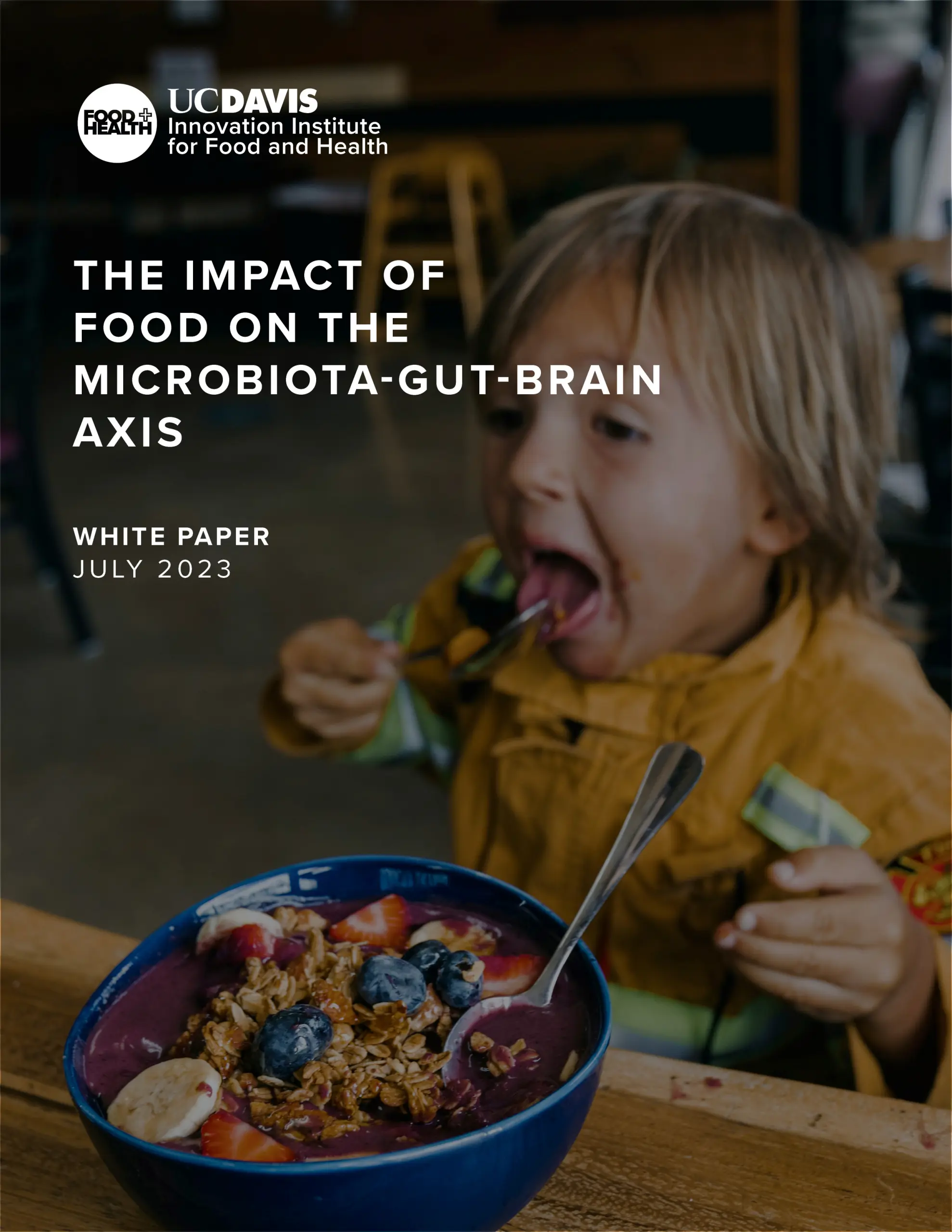 The Impact of Food on the Microbiota Gut Brain Axis White Paper Cover