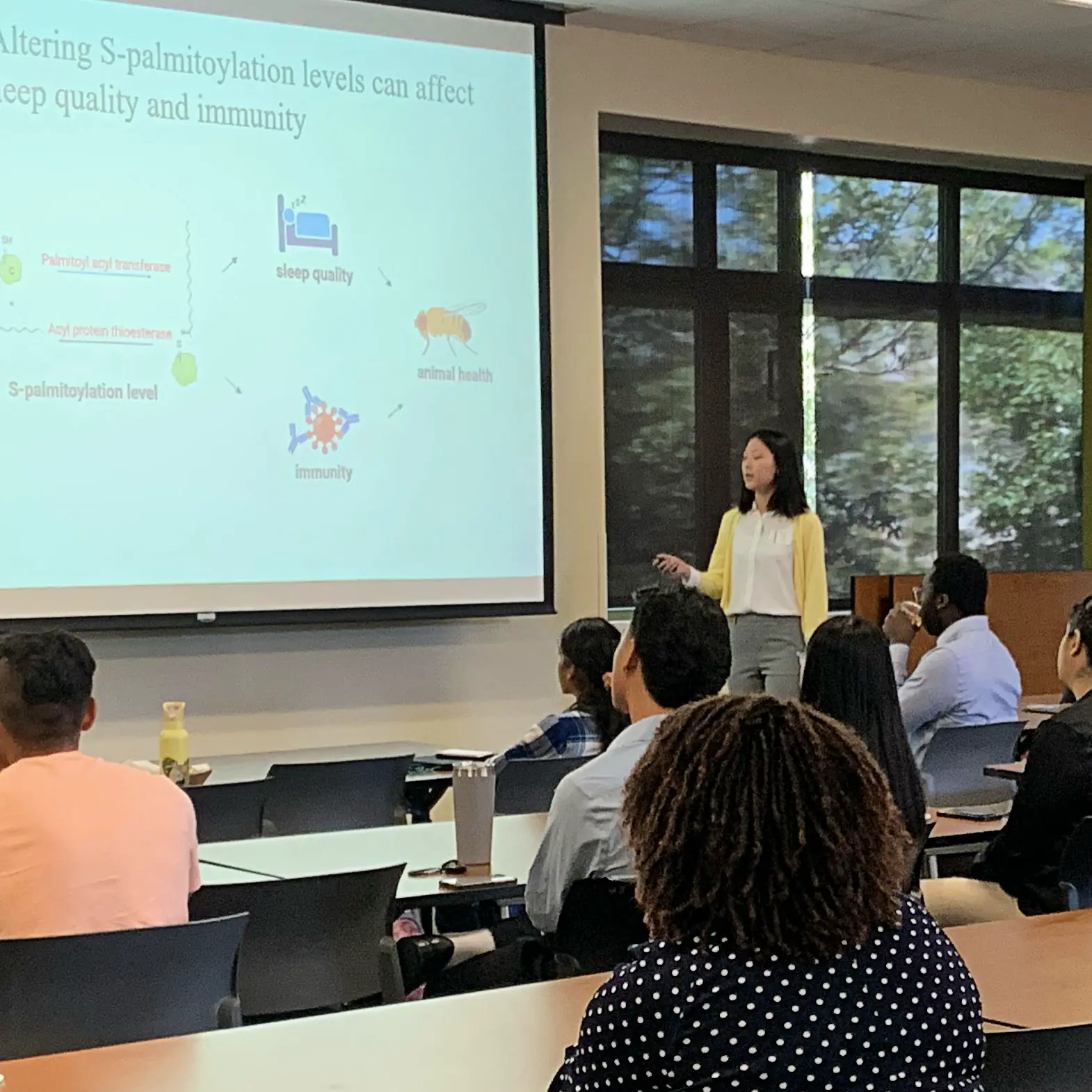 Student giving a presentation in front of a large class