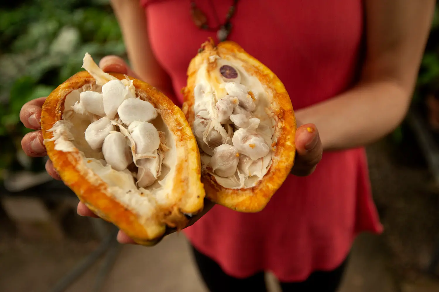 Woman holding food