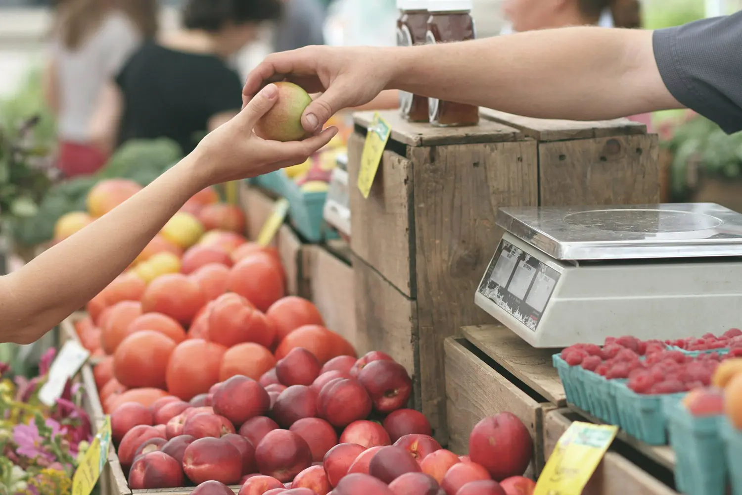 Person handing fruit to another person at a market