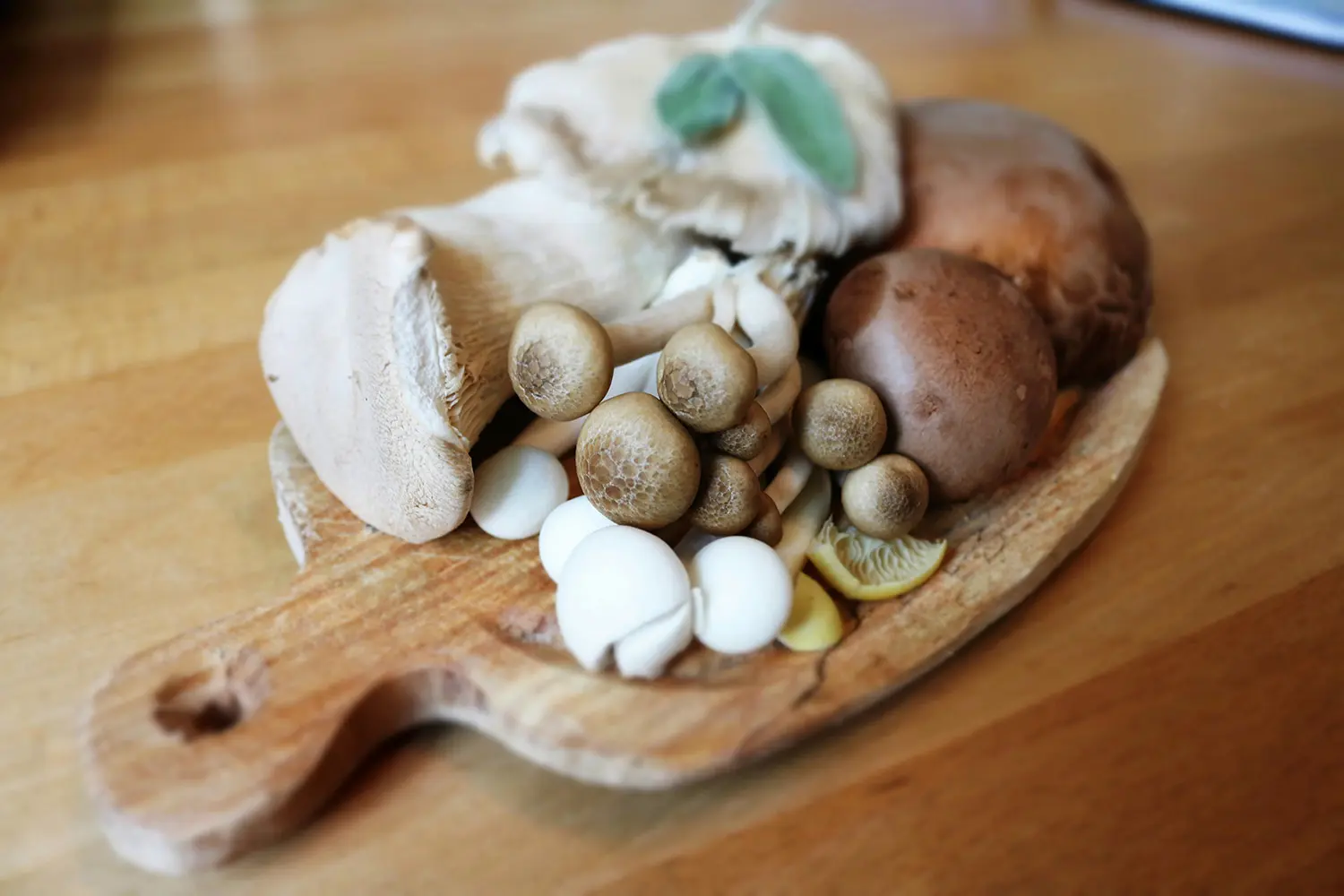 A collection of mushrooms on a cutting board