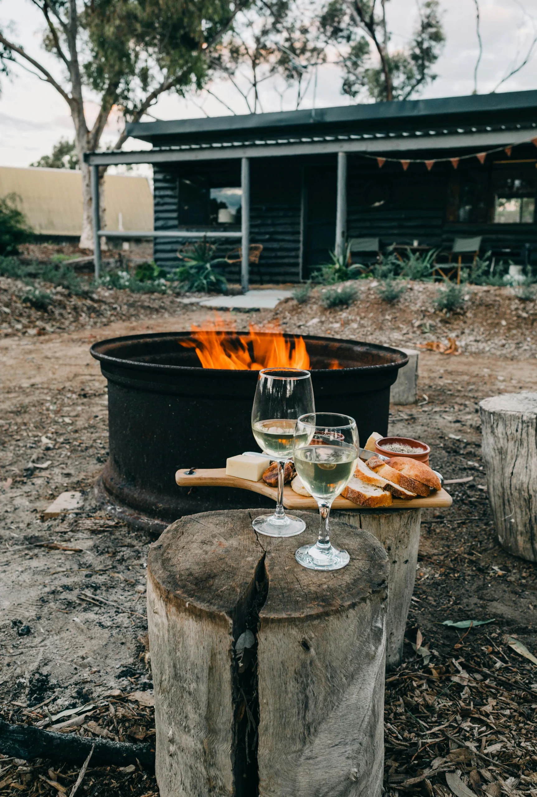 Wine and cheese board by a firepit