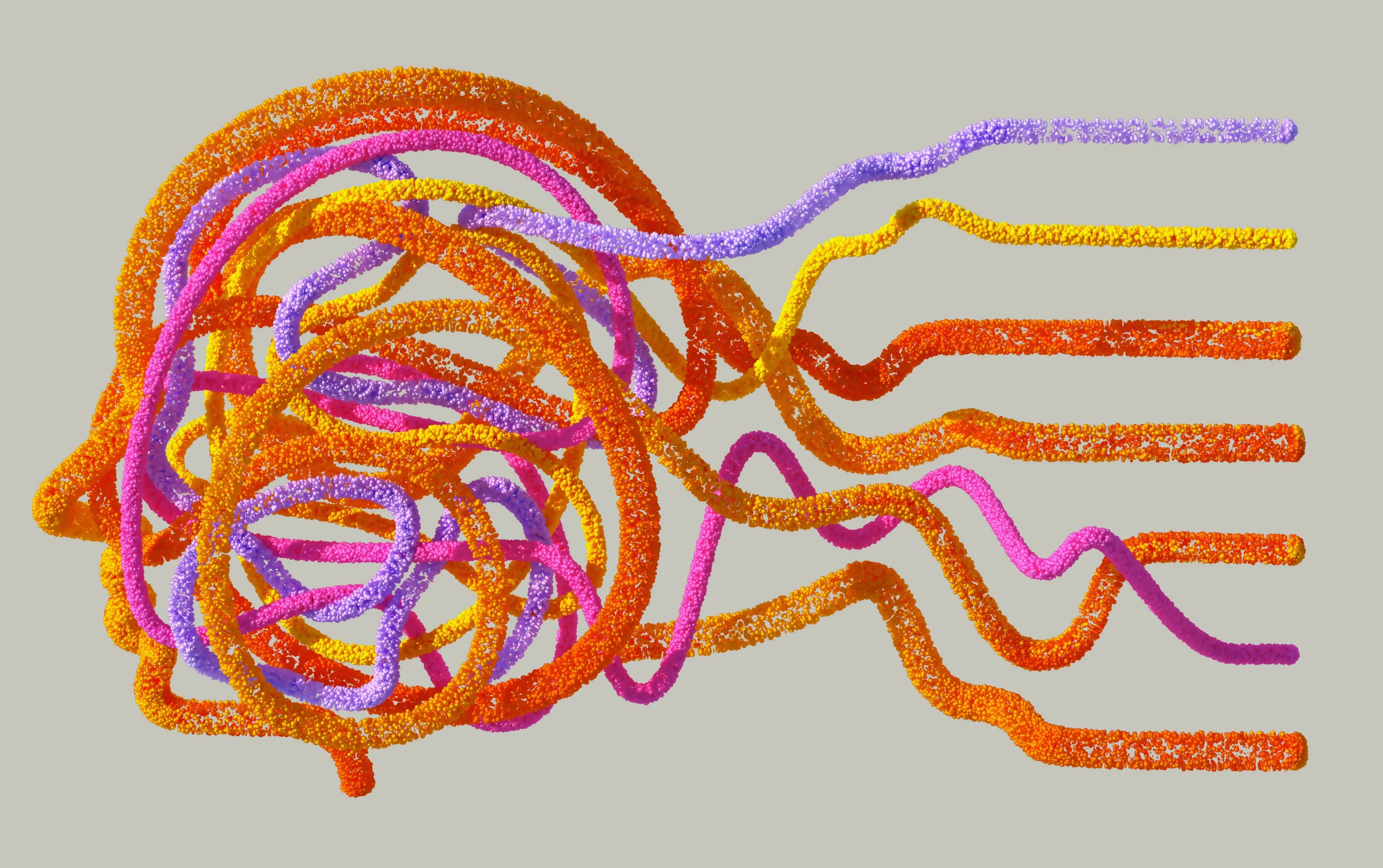 Neural Conncections and Cognition