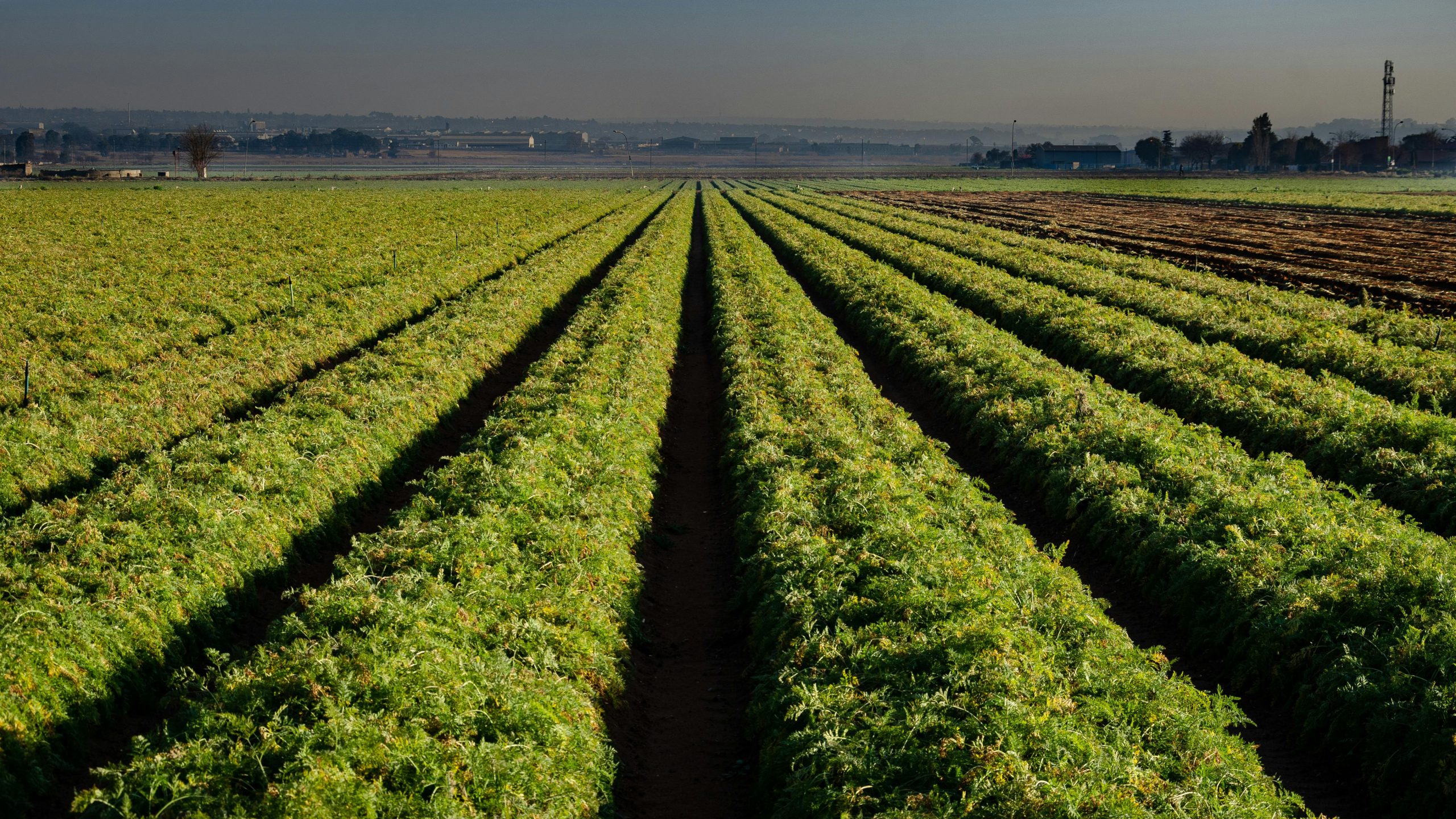 Acres and Soil