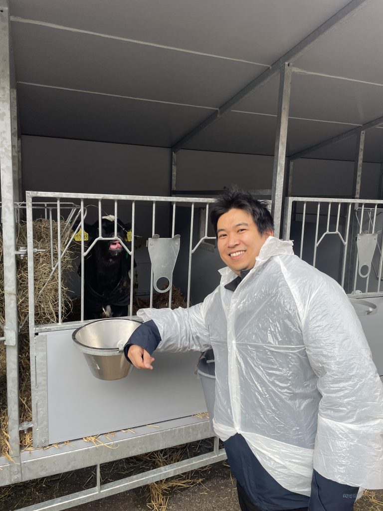 fellow and cow